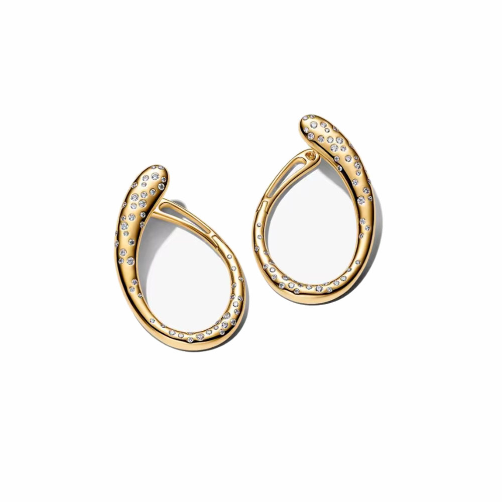 Orecchini in argento 925 con f - Tie Clip Silver recensione e prezzo